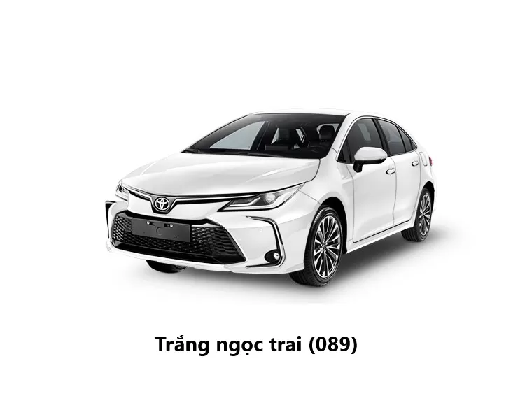 CQ Trắng ngọc trai 089 1